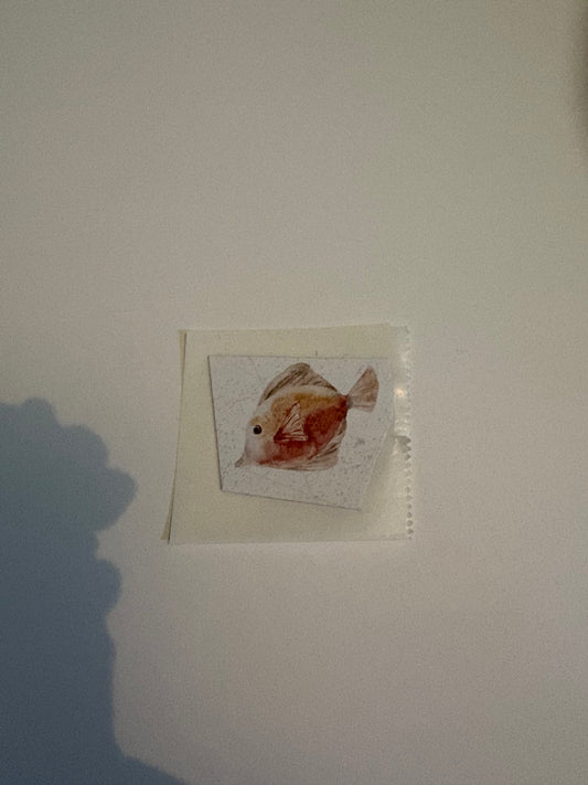 Fish Sticker